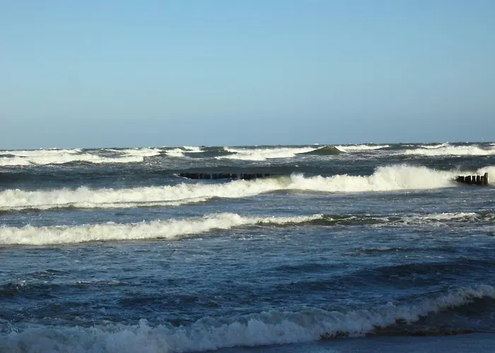 Goscinne U Teresy Mrzeżyno